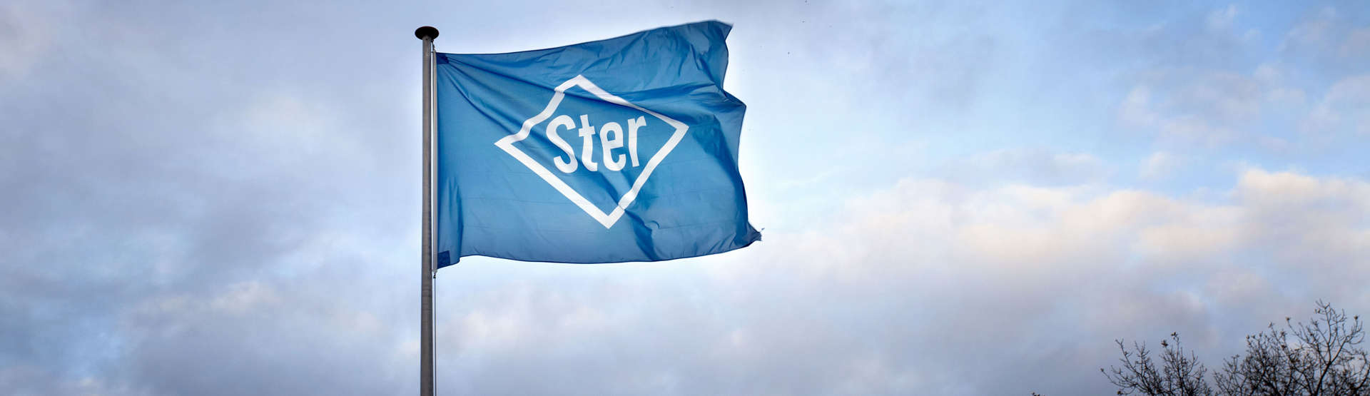 Privacystatement Ster Reclame